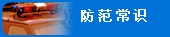 ʶ